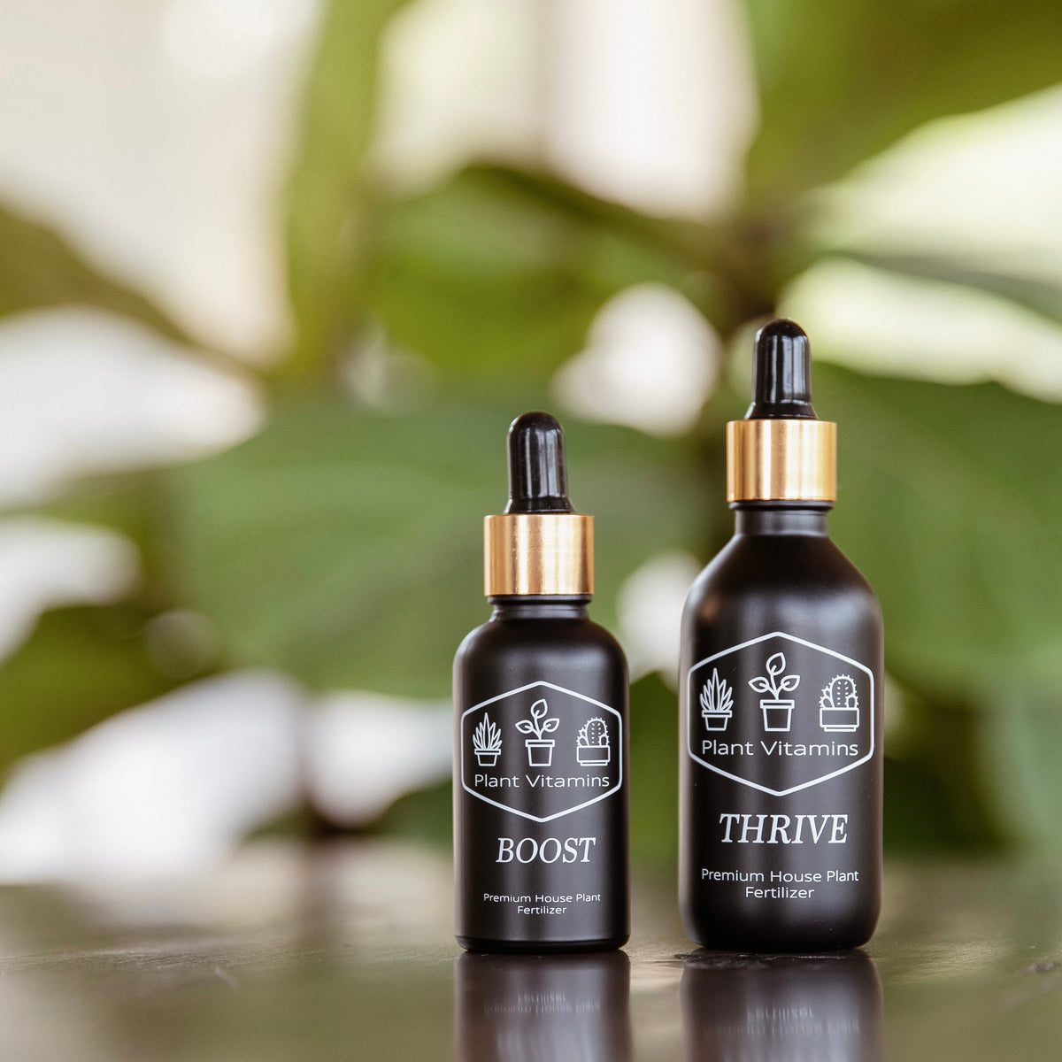 The One Thing That Elevated my House Plant Game Plant Vitamins