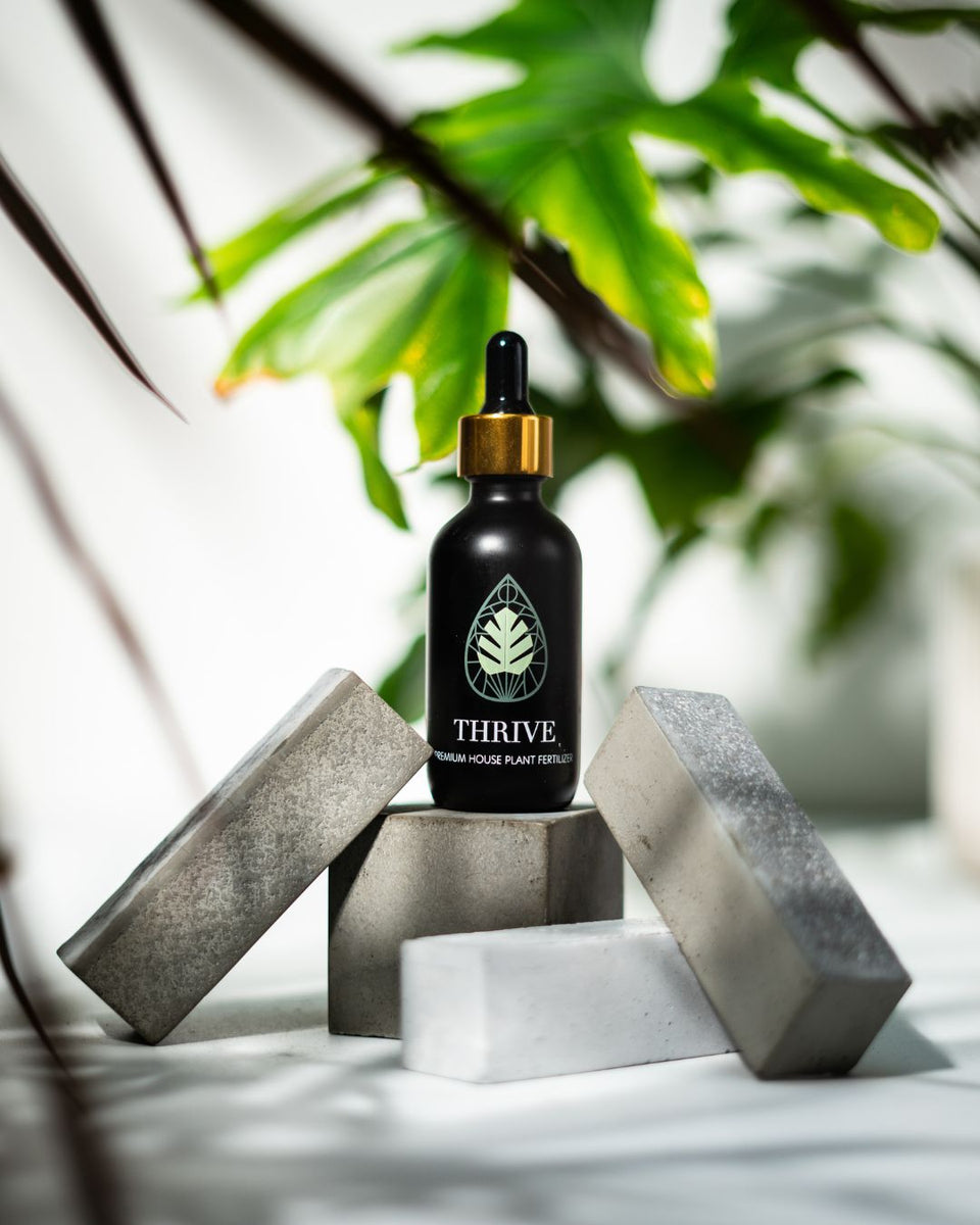vitamins for indoor plants Thrive – Plant Vitamins