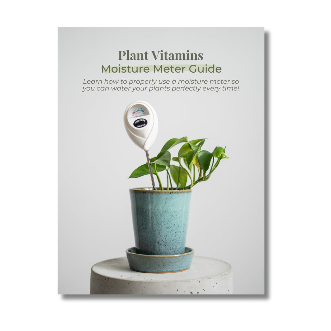 Moisture Meter Guide – Plant Vitamins