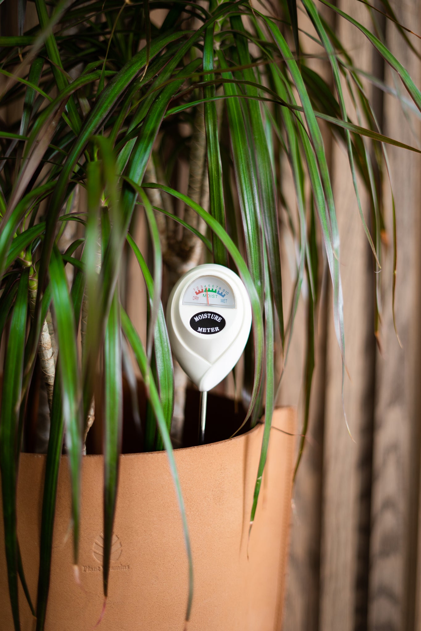 printable moisture meter chart for house plants Moisture Meter – Plant Vitamins